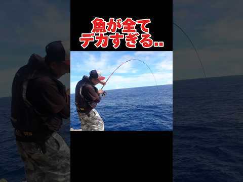 魚全てがデカイ島#釣り#沖縄#波照間島