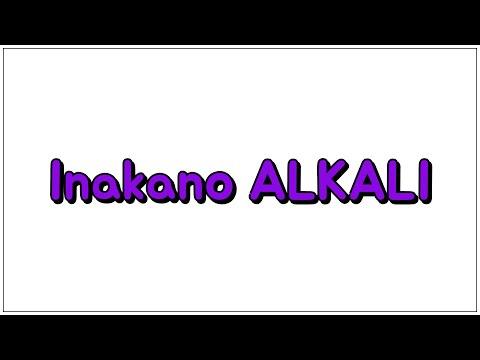 Inakano ALKALI 参考動画