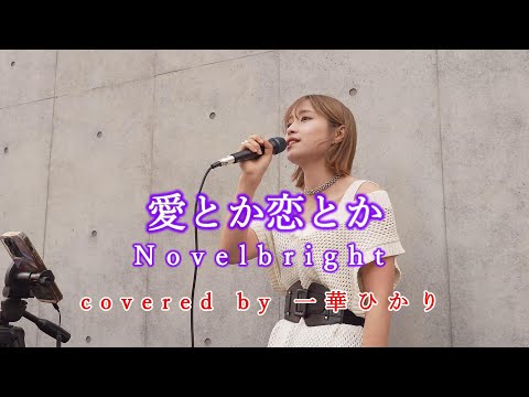 愛とか恋とか / Novelbright  covered by 《一華ひかり》 ※概要欄にツアー情報があります