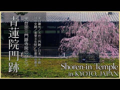 【京都／国の史跡】青蓮院門跡／天台宗三門跡寺院のひとつ - Shoren-in Monzeki Temple in KYOTO, JAPAN