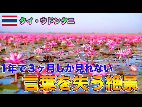 【超絶おすすめ】1年で３ヶ月しか見れない絶景が最高過ぎた！！