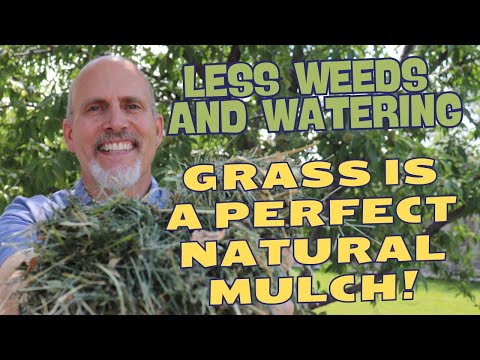 Using Grass Clippings as Garden Mulch