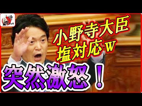 小西洋之vs小野寺大臣🔴【国会中継】🌛沸騰ヤカンに大臣が棒読み対応ｗｗ　2018年5月24日-侍News