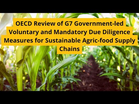 G7 Government-led Voluntary and Mandatory Due Diligence Measures for Agri-food Supply Chains