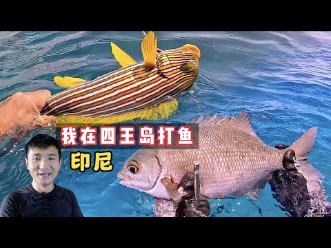 《印尼·巴布亚》第5集：这鲨鱼长的像地毯一样，怎么赶都赶不走！#环球旅行 #潜水 #印度尼西亚 #四王岛