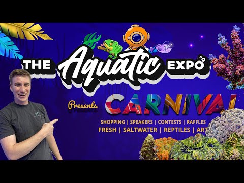 The Biggest Coral Show In The Carolinas!