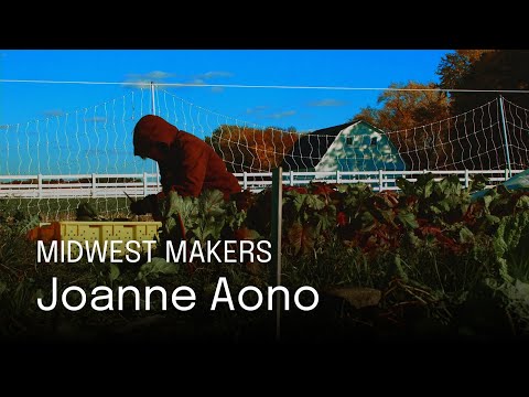 Midwest Makers: Joanne Aono