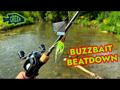 BUZZBAIT Topwater Creek Fishing Clinic!