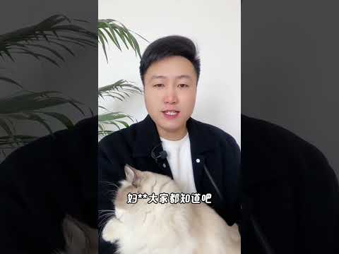 养猫最傻的，四种行为。养猫经验分享 科学养宠攻略 养猫人 宠物滴耳液 新手养猫