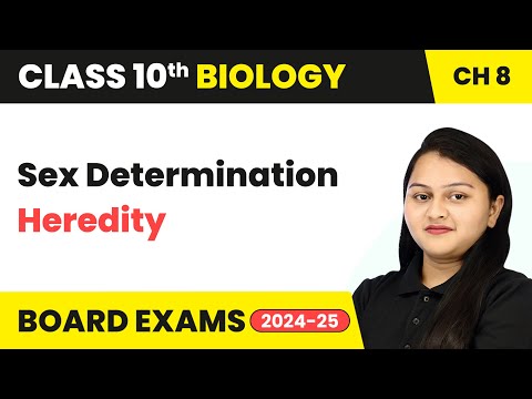 Sex Determination - Heredity | Class 10 Biology Chapter 8 | CBSE 2024-25