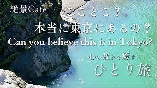 東京とは思えない穴場、絶景、森のカフェ2選、The Café in the forest カフェ巡り、日帰り旅行、自然界隈