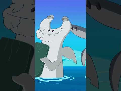 New friend #Zigandsharko Zig & Sharko | Cartoon for kids