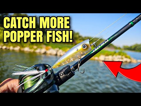 This NEW Popper is REALLY Good!!! (Xcite Baits Villain)