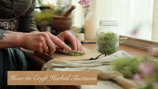 All About Crafting Tinctures | Herbal Medicine Making | How to Guide