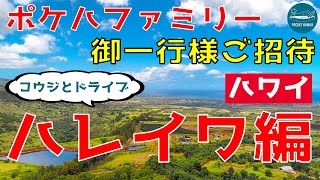 【ポケハツアー】ノースショアまでのドライブ気分を体感しよう【ハワイドライブ】【4K】