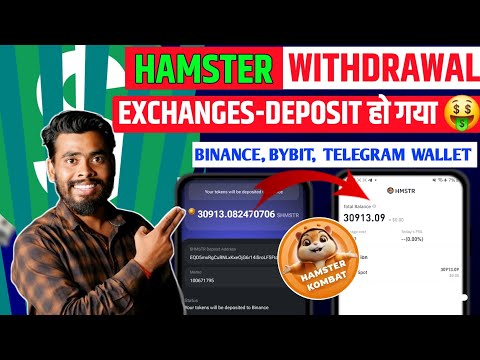 Deposit हो गया🤑 Hamster Kombat New Update | Hamster Kombat Withdrawal | Hamster Kombat Airdrop