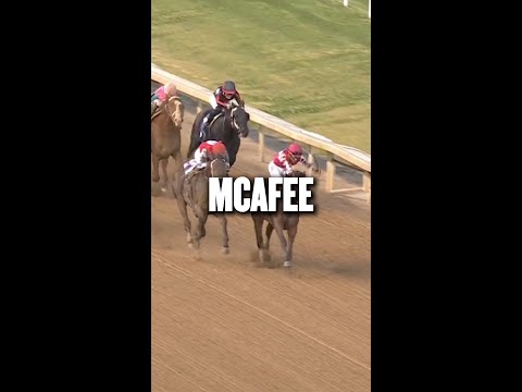 Thorpedo Anna's Half-Brother McAfee Races Today