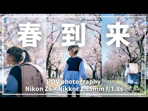 【桜写真】85mm中望遠レンズで撮る桜とこども【POVフォト】