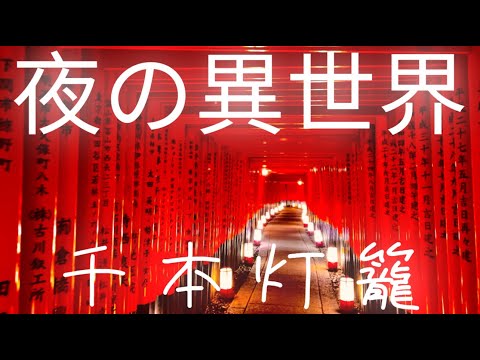 『伏見稲荷大社』※千本灯籠ライトアップ※まるで異世界夜幻想的な世界観と神秘的なパワースポット神社