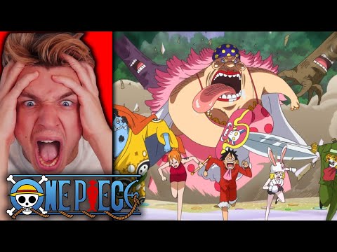 WEDDINGGGG CAKEEEEEEEE!!! (one piece reaction)