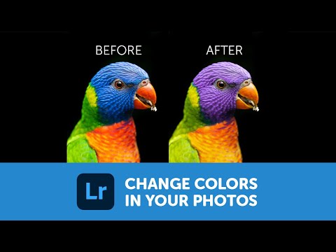 Change the colors in photos with Adobe Lightroom #shorts