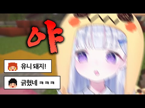 돼지라는 말에 긁힌 유니