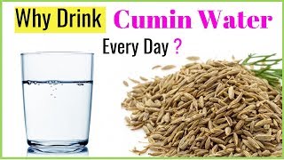 Cumin Water: 7 Benefits to starting drink Every Day