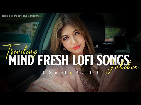 💕Mind Relaxing Love Songs 2024 | Mind Relax Lofi Mashup 2024 | Hindi Mind relaxing song Part 0008