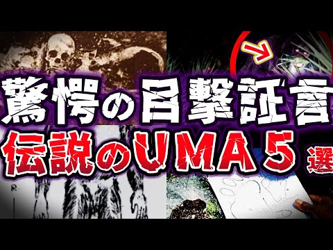 【ゆっくり解説】謎の未確認生物!! 世界の研究者が追い続ける伝説のUMA５選