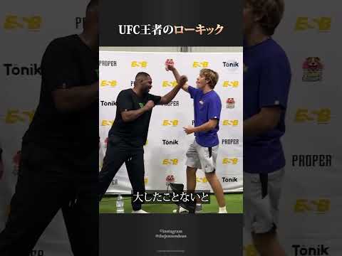 UFC王者のローキック