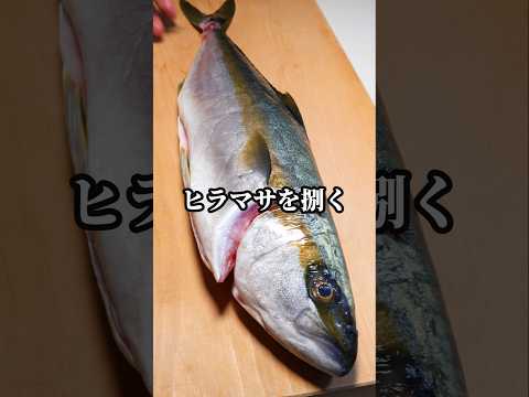 ヒラマサを三枚おろしで捌く方法 #魚の捌き方