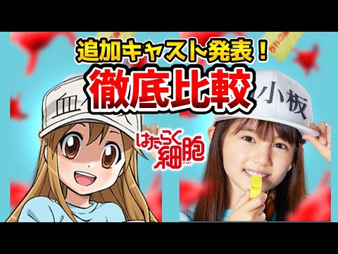 【はたらく細胞実写追加キャスト】超豪華！実写とアニメを完全比較！比較動画！赤血球：永野芽郁/白血球：佐藤健/キラーT細胞：山本耕史/NK細胞：仲里依紗/マクロファージ：松本若菜/血小板：マイカ・ピュ