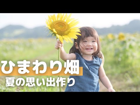 🌻おはるとひまわり畑🌻(1歳4ヶ月)