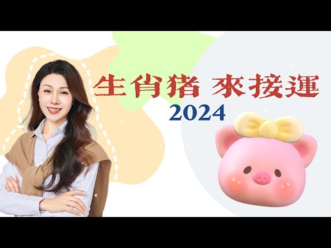 来查看生肖猪2024的运势如何！｜生肖猪运势预测｜运势指南