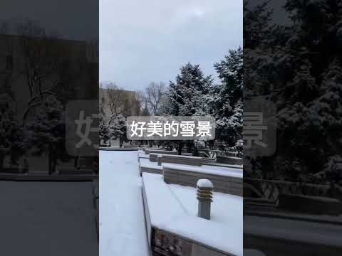 好美的雪景