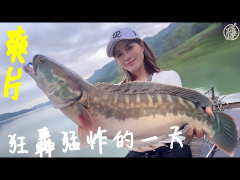 【釣魚日記】把握黃金兩小時…..破紀錄打完收工…魚虎爆桶第一次遇到Taiwan girl fishingエビ釣り어업｜采蓁 Patti