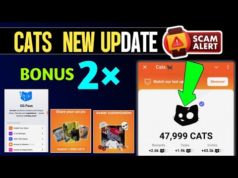 🔥Cats Airdrop OG Pass | CATS Airdrop New Update | Should i Invest or Not??  Cats Airdrop Coin Price