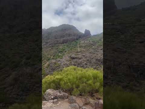 Masca Valley | 🌴 Tenerife #tenerife #canaryislands