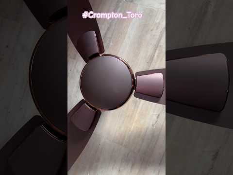 #Crompton Toro 1200MM MAGIC BROWN Ceiling Fan #shorts #toro #crompton_toro #toro_1200mm