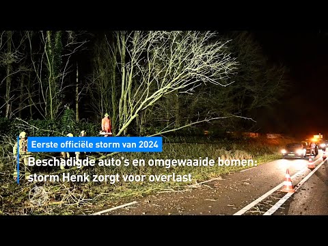 Beschadigde auto's en omgewaaide bomen: storm Henk zorgt voor overlast | Hart van Nederland