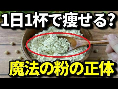 おからパウダーを1日1杯食べ物にかけて食べるだけで痩せる？ダイエットに効果的な理由とは？注意点って？知ってよかった健康雑学