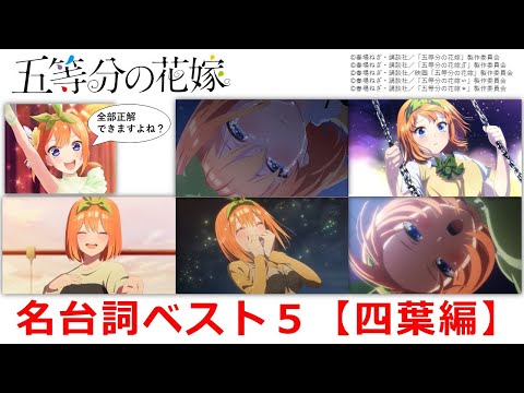 『五等分の花嫁』名台詞ベスト５【四葉編】　※ネタバレ注意