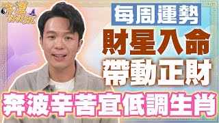 【每周運勢】財星入命帶動正財！奔波辛苦宜低調生肖！｜1202~1208生肖運勢