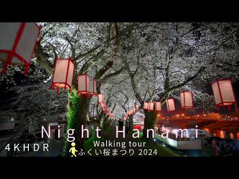 [4KHDR]Night Walking tour Fukui Cherry Blossom Festival 2024[Japan]ふくい桜まつり 2024 夜の部 散策