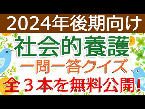 【社会的養護】クイズ動画を無料公開（2024年後期保育士試験対策）