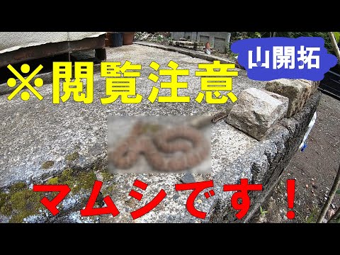 【山開拓】マムシの出迎えでゴミ開拓始めるよ！