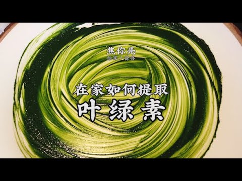 【葉綠素】在家也能提取葉綠素！做成小花擺個盤，倍儿漂亮！| 老飯骨傳人