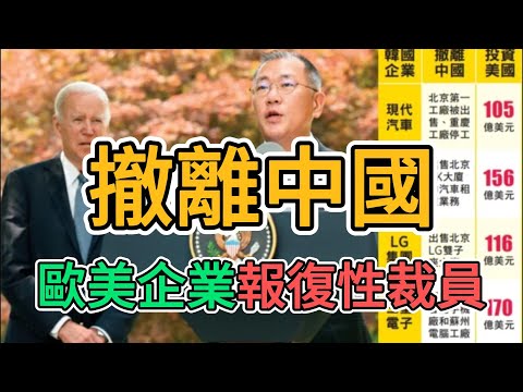 歐美客戶拋弃中國，全都不來參展！中國外貿徹底撐不住了！2024年的廣交會成史上最蕭條的一届！奢侈品銷量暴跌，老百姓沒錢了，上海竟然出現1800塊月薪招聘的情况！歐美公司大裁員 | 窺探家【爆料频道】