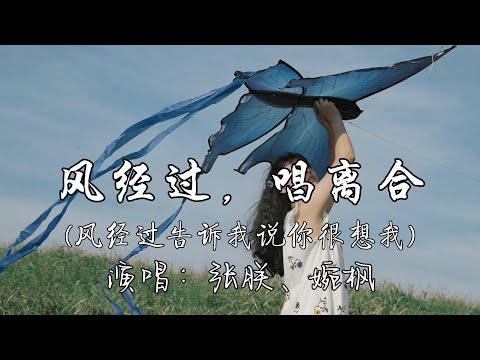 张朕、婉枫 -  风经过，唱离合 （风经过告诉我说你很想我）『这个世界什么时候变得冷漠，城市里灯光越亮心越寂寞，他们行色匆匆都只顾赶路 无形力量推着你我。』『动态歌词MV』