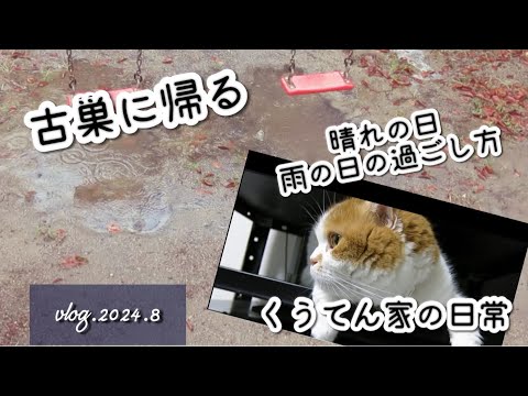 【暮らしのvlog】古巣に帰る/中年夫婦/40代主婦/ミスドミュージアム/猫のいる暮らし